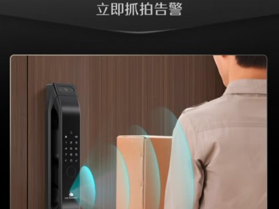 德施曼（DESMAN）指静脉智能锁 防盗